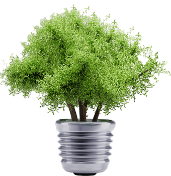 Green garbage disposal
